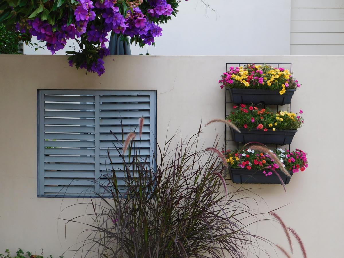 Beachport Bed & Breakfast Port Macquarie Exterior foto